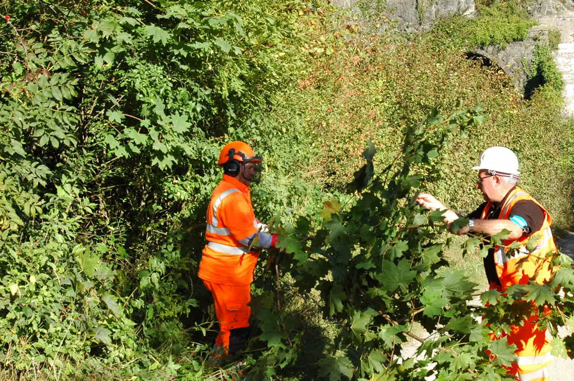 Network Rail engineers clearing overgrown vegetation: Conservation work