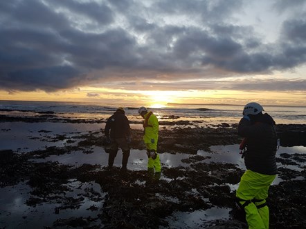 SHORE seaweed pickers (small)