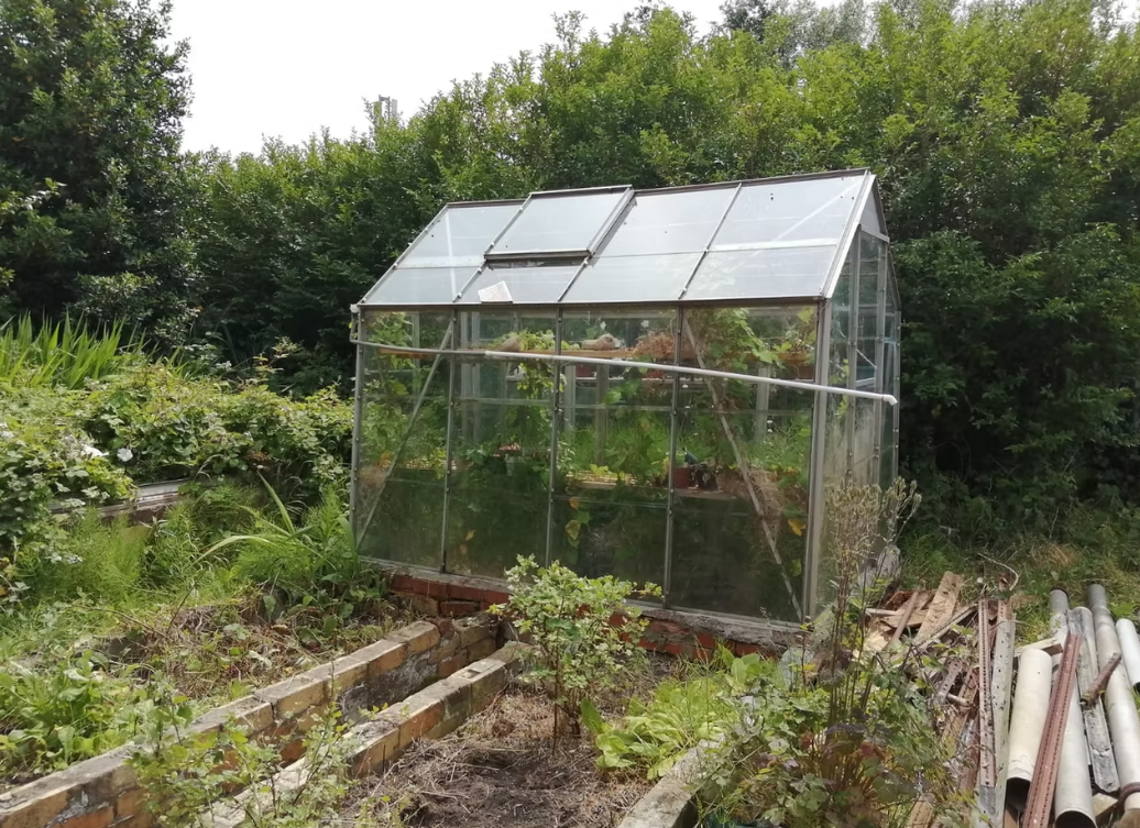 Community green house brought back into use