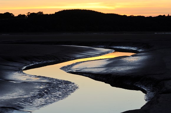 Saltmarsh creek in the Nith estuary at Caerlaverock NNR near Dumfries ©Lorne Gill SNH