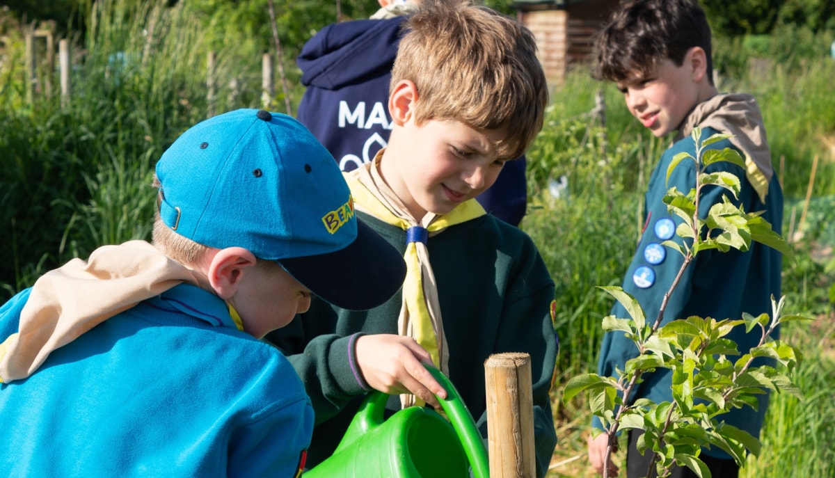 1st Wychwoods Scout Group landscape