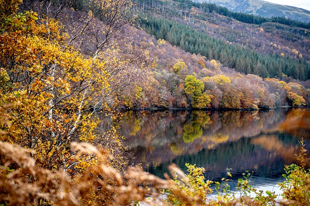 Loch Arkaig- image credit Woodland Trust Scotland Media Library