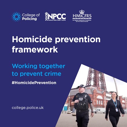 Homicide-prevention-framework-1080-1080