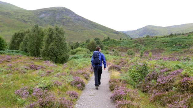 Thathar a’ moladh do dhaoine a thadhlas air beanntan na h-Alba plana a chur air dòigh ’s àm stalcaireachd fèidh a’ teannadh dlùth: Heading for the Scottish Hills - walker on Creag Meagaidh - copyright NatureScot