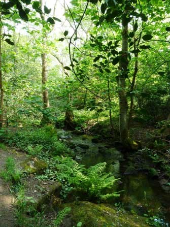 Important nature sites receive National Lottery funding: 1-4.jpg
