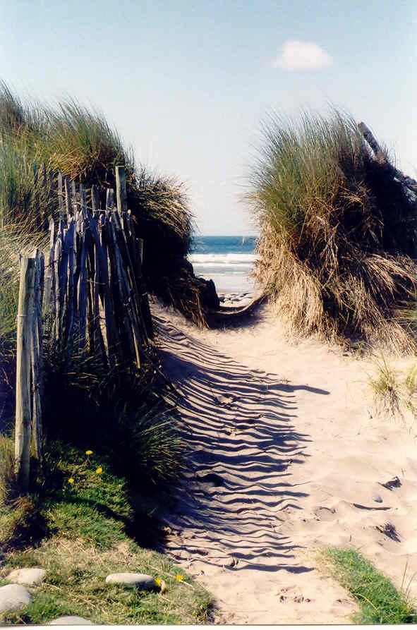 Westward Ho! Dunes!