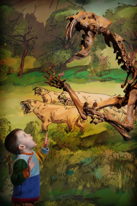 Arlo Cook (5) meets a sabre-toothed cat at the National Museum of Scotland’s exhibition Giants. Photo © Stewart Attwood