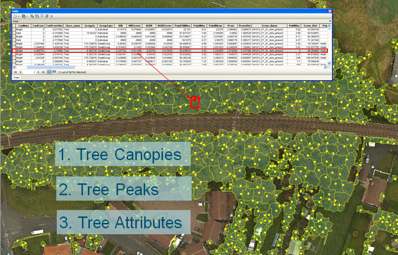 ORBIS tree database - screenshot: Offering Rail Better Infomation Service (ORBIS) tree database screenshot