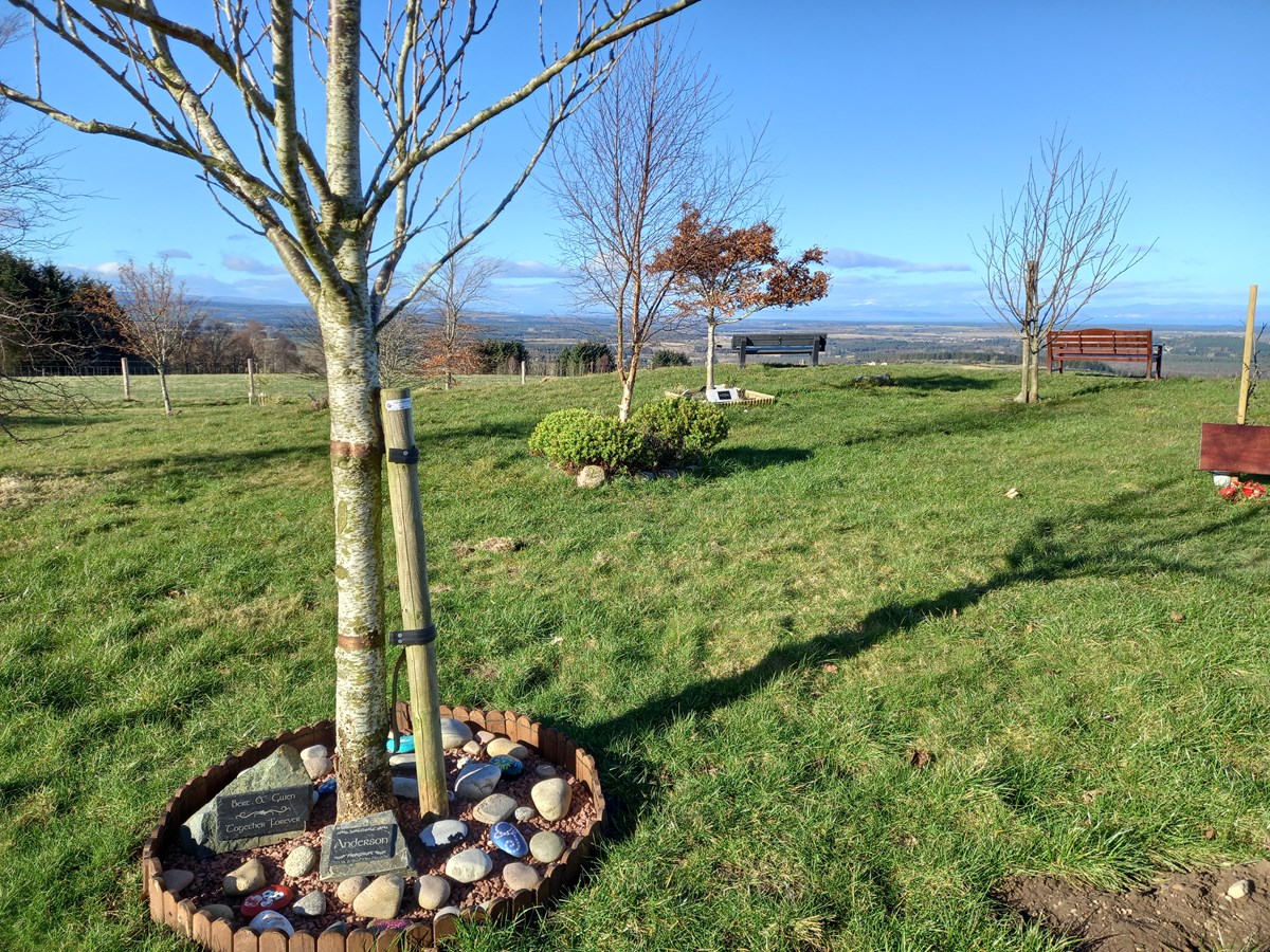 Califer Viewpoint memorials