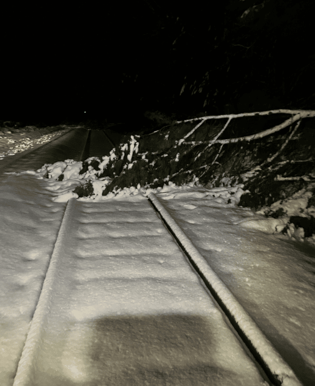 Storm Goretti - tree down heavy snowfall near Shrewsbury