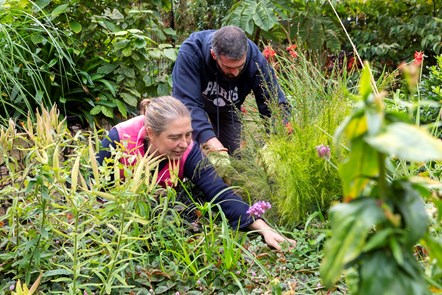 Volunteers at Freightliners City Farm maintain their ornamental garden