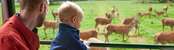 Deer Tractor Tour at Lotherton: Deer Tractor Tour at Lotherton