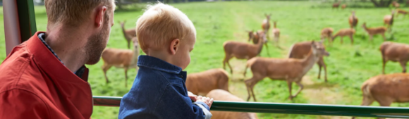 Deer Tractor Tour at Lotherton