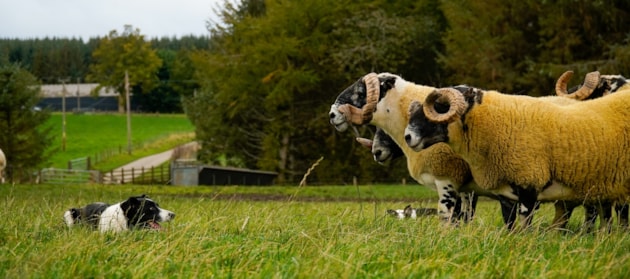  DSC5900 3000px - Press release m430404