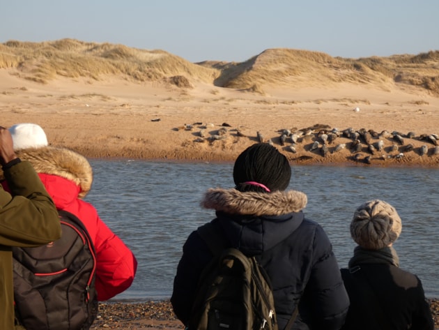 Responsible seal watching at Forvie ©Catriona Reid/NatureScot