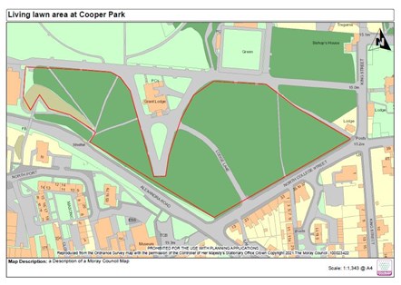 Living Lawn area Cooper Park: Map showing the area of Cooper Park being used for the Living Lawn trial.