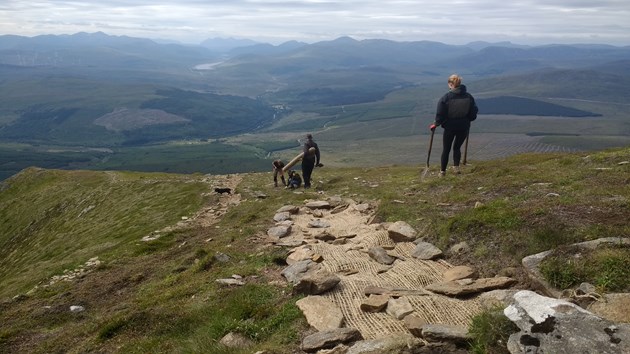 Rare  habitat restoration showing signs of success in Highlands: Ben Wyvis NNR Racomitrium stabilisation restoration work 2 - credit NatureScot