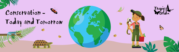 Conservation Today and Tomorrow at Tropical World