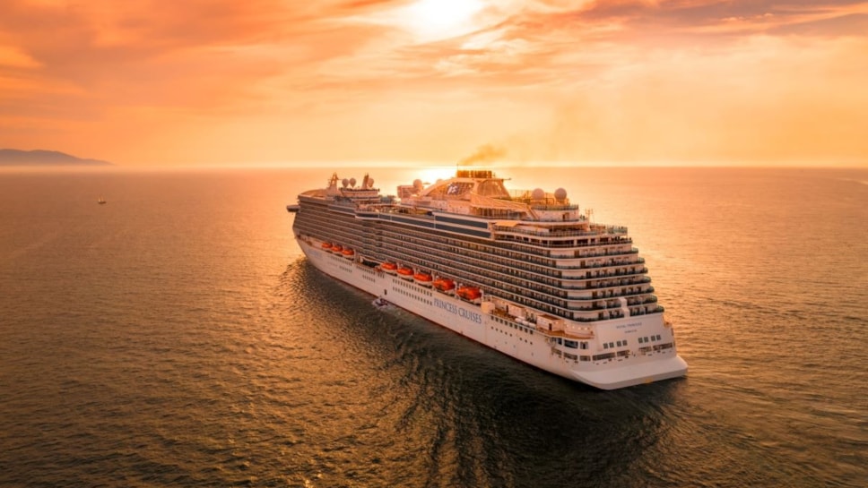 cruise