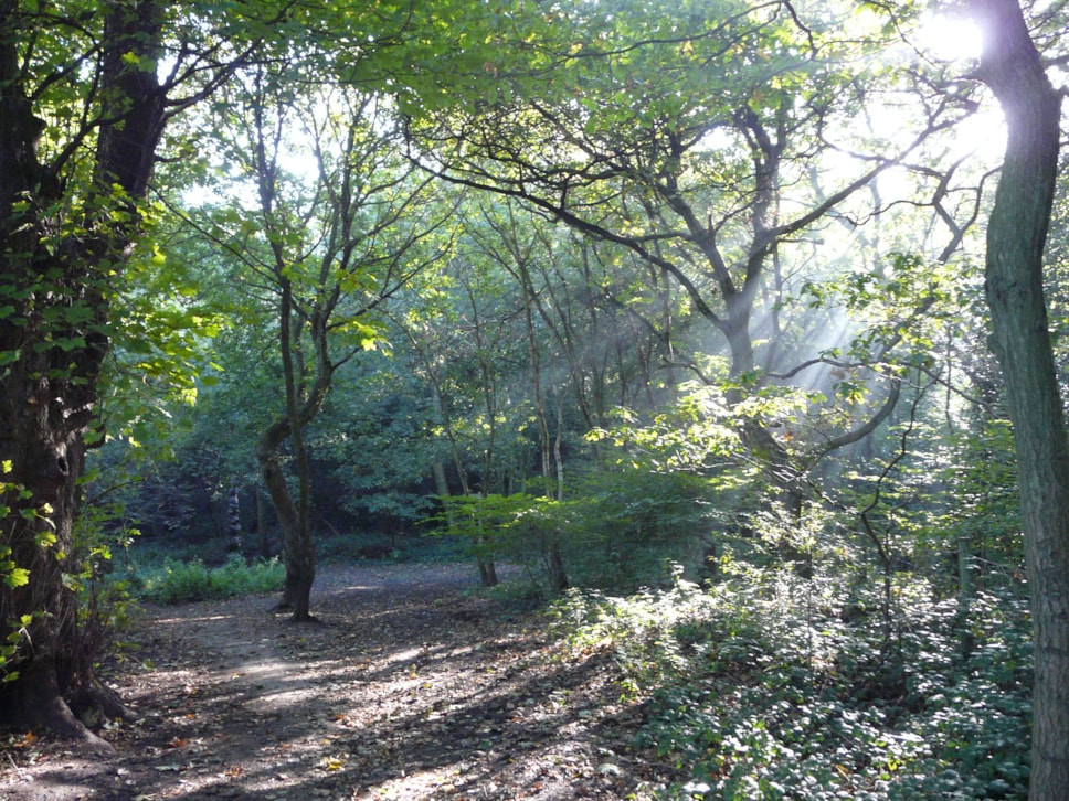Saltwells nature reserve