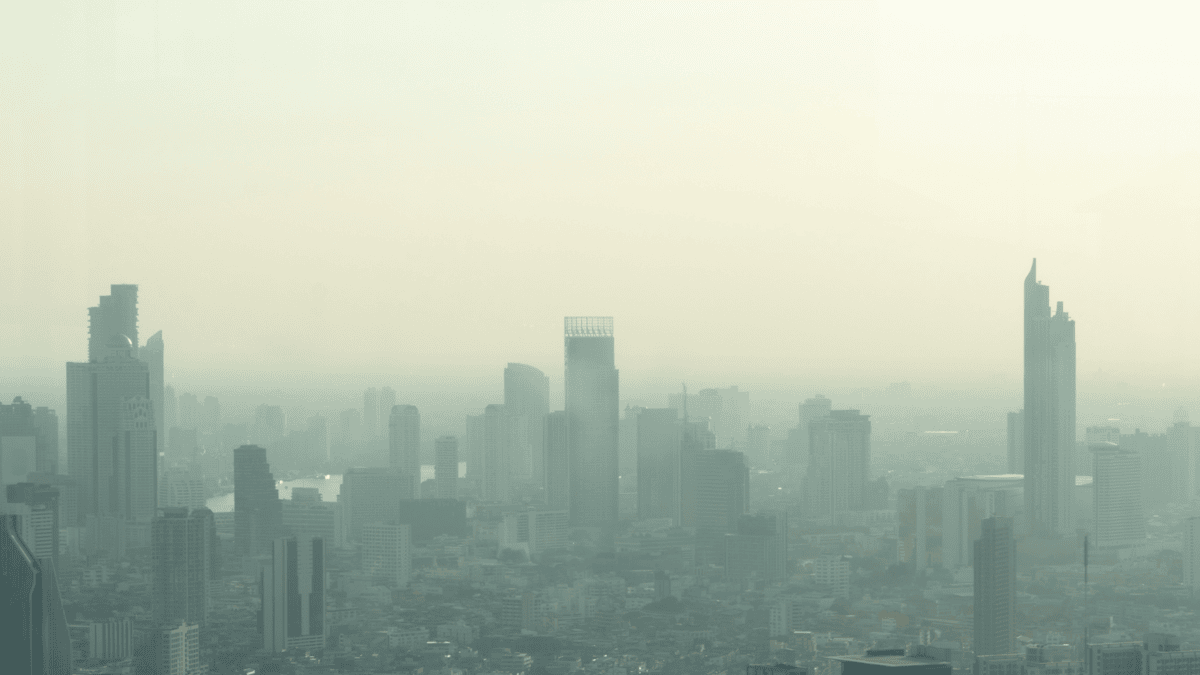polluted city hero image