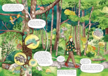 Comic book sample - lichen: Comic book sample - lichen