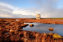 RSPB Forsinard Flows lookout tower, The Flow Country, Sutherland. Image credit: Lorne Gil/NatureScot