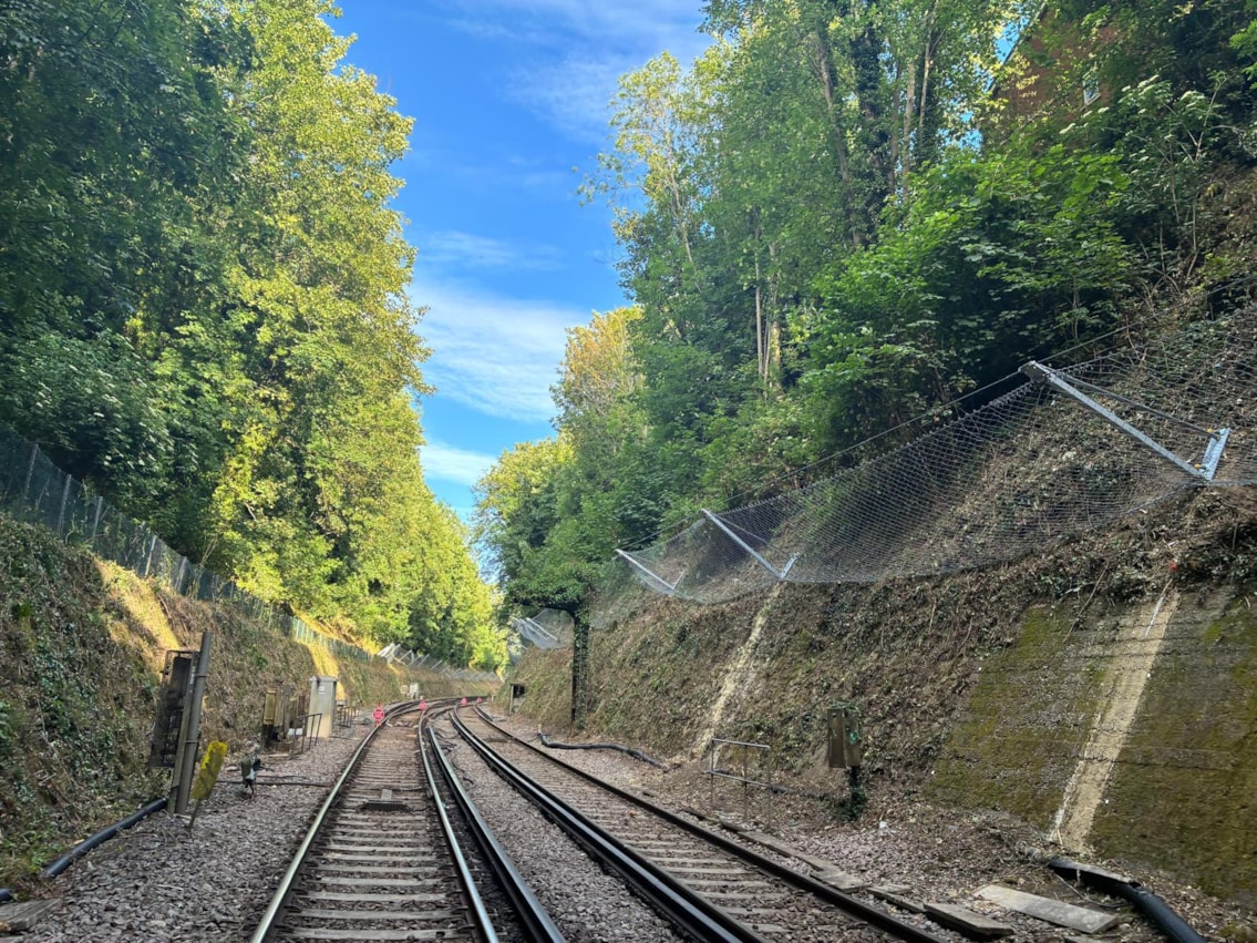 Maidstone East Rock Cutting
