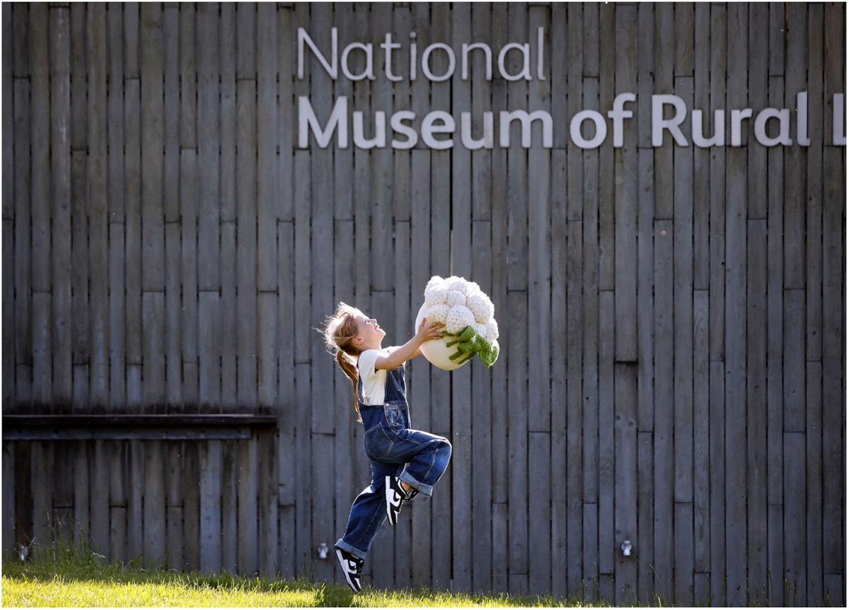 Woolly Weekend at the National Museum of Rural Life. Photo © Paul Dodds (3)
