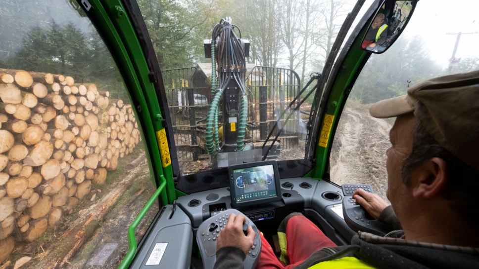 Forestry in Wales
