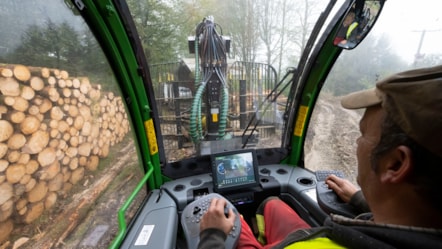 Forestry in Wales