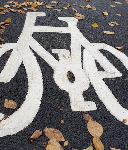 Bike lane with leaves2