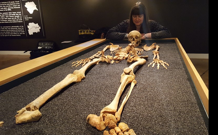 Captivating skeletons exhibition uncovers 2,000 years of history: 20170921-114224.jpg