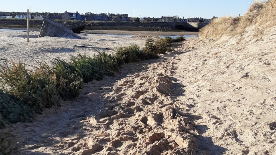 Christmas tree project Lossiemouth