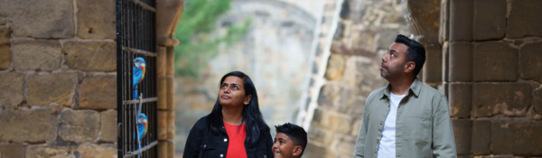 Love Birds in Kirkstall Abbey: Love Birds in Kirkstall Abbey