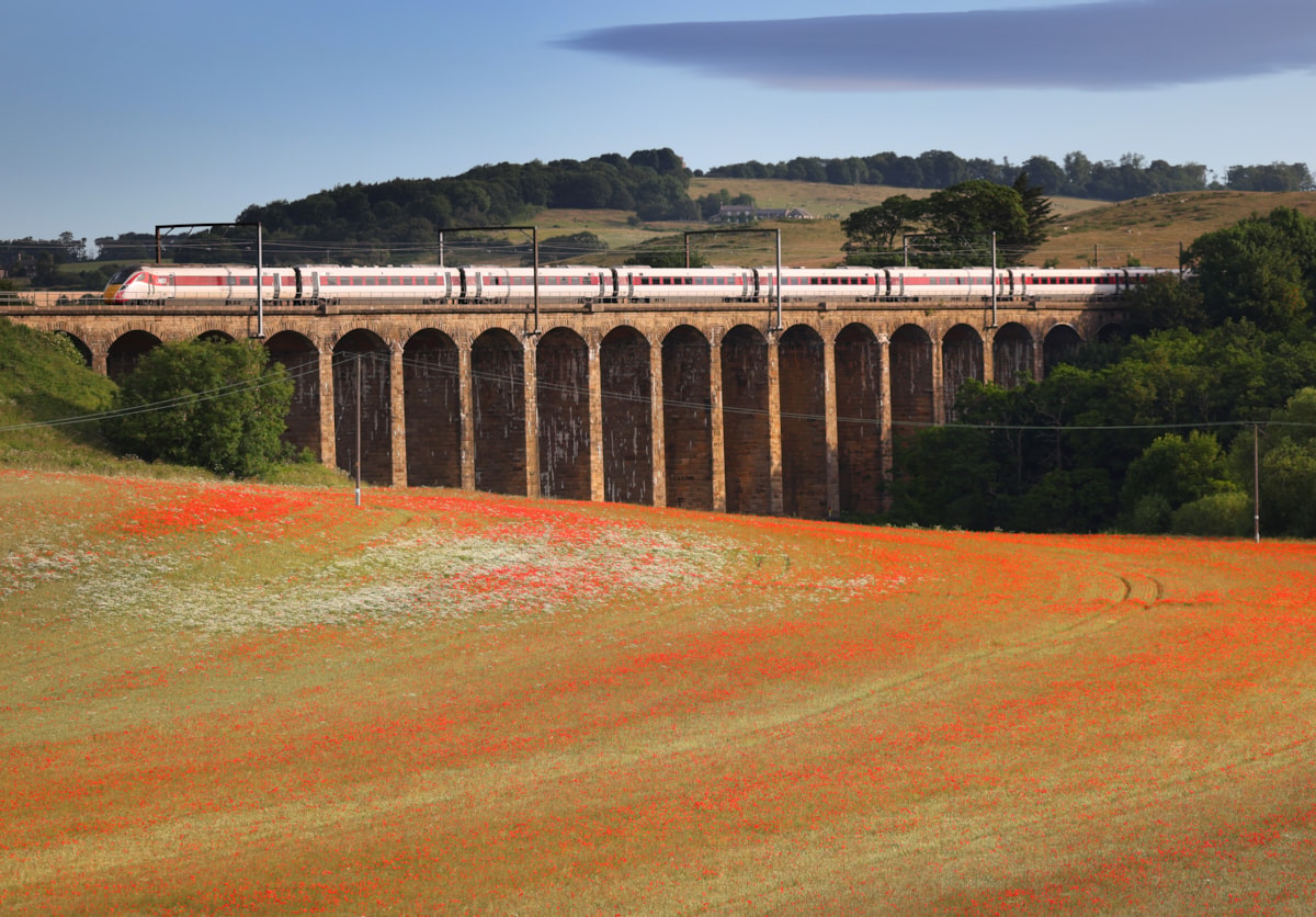 An LNER Azuma passes over a viaduct on the East Coast Main Line