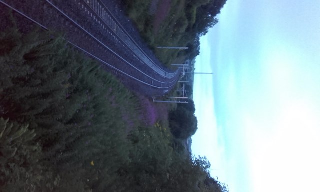 Masts at Carfin