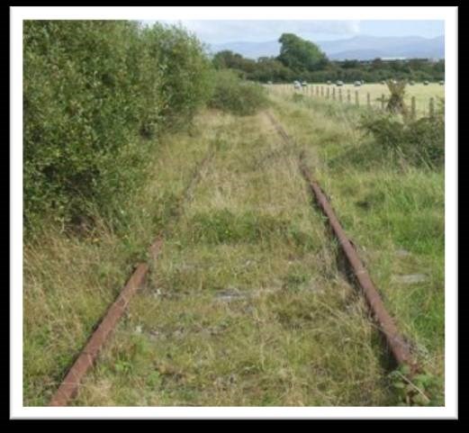 Habitat survey needs to be carried out on Amlwch branch line: Amlwch branch line
