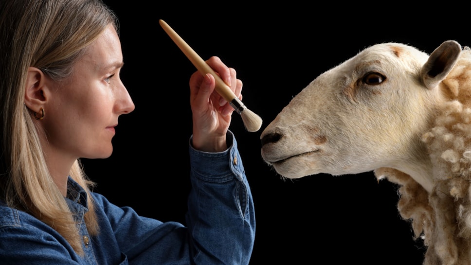 Curator Zena Timmons prepares Morag for display. Photo © National Museums Scotland (4)
