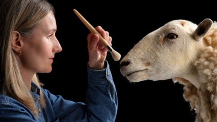 Curator Zena Timmons prepares Morag for display. Photo © National Museums Scotland (4)