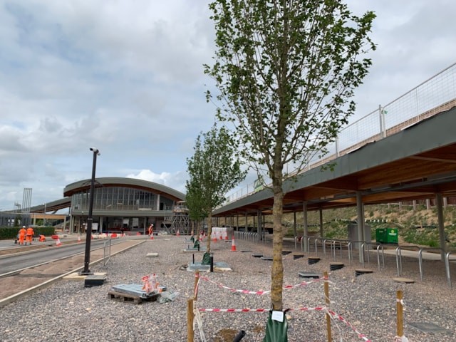 CSIE Trees station forecourt: Trees planted in the forecourt of Cambridge South station. Credit Stephen Deaville