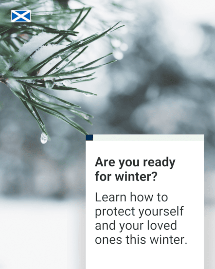 Tree branch - Portrait - Winter - SG Resilience - November 2025