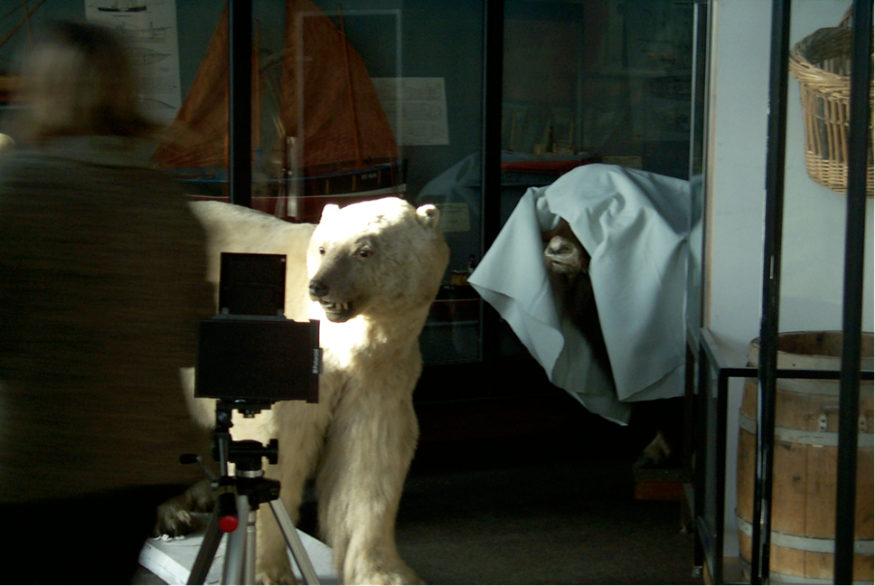 Prof Mark Wilson working on the polar bear project.