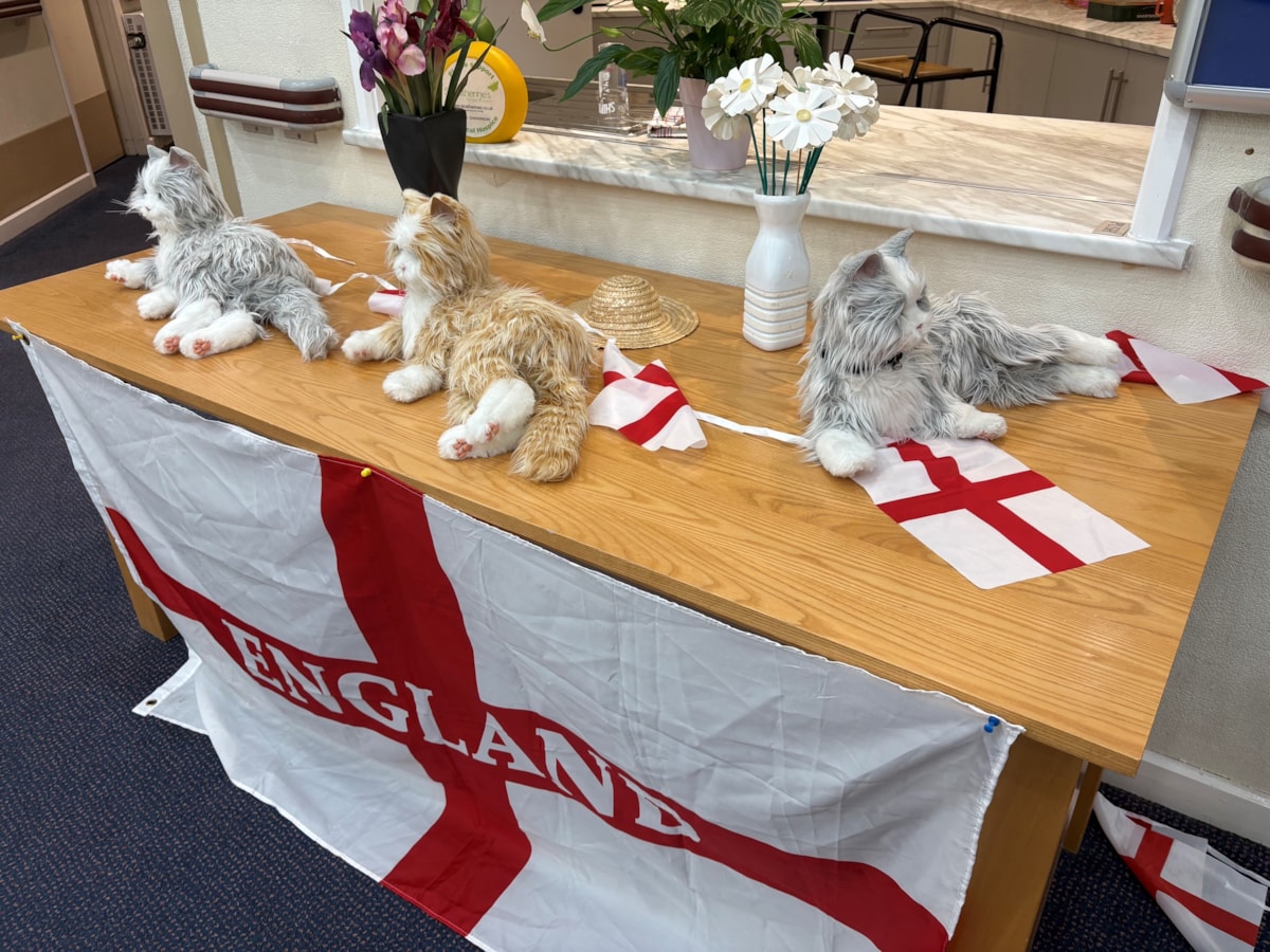 Robotic cats Misty, Ginge and Phyllis at Leyland day centre
