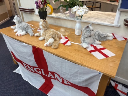 Robotic cats Misty, Ginge and Phyllis at Leyland day centre