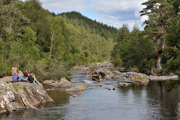 Lessons for nature restoration and rewilding: Glen Affric National Nature Reserve © Lorne Gill/NatureScot