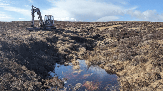 Knoxfauld peatland (2): Knoxfauld peatland (2)
