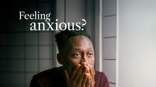 Example Content Plan - Mind to Mind - Jan 2026