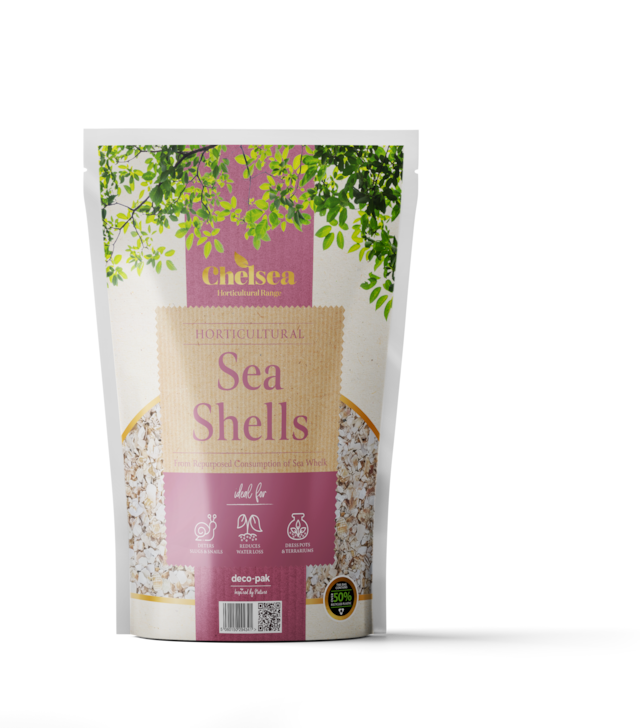 HSS Pouch Chelsea Horti Sea Shells
