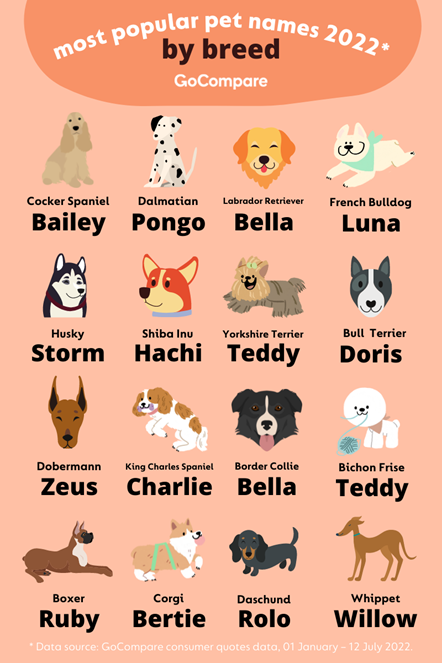 most popular pet names